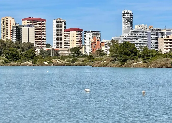 Apartment 2 Bedrooms In Larimar *